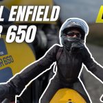 Royal Enfield's Secret Weapon: The Bear 650 Revealed