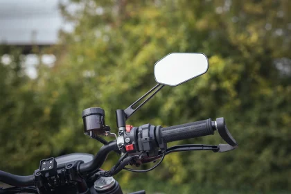 New From Oxford: Stem Mirror Pro
