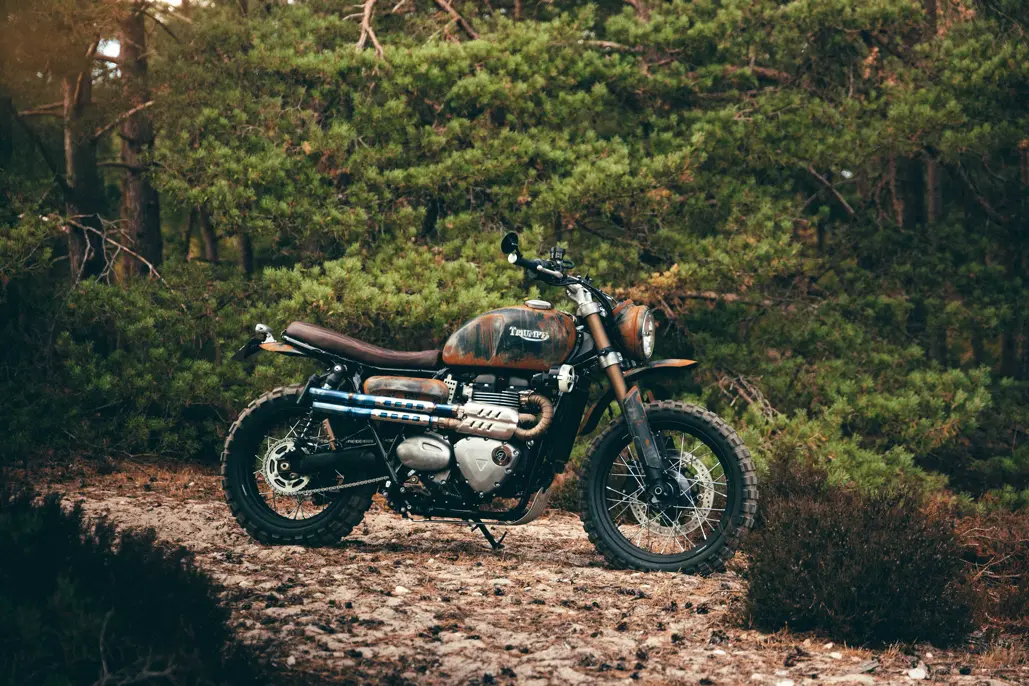 Triumph Originals 2026 Voting Now Open